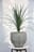 Cây Trang Trí Potted Tree 6